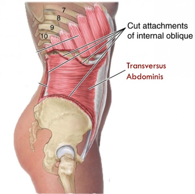 Postpartum Hip Pain: Why It Happens & How To Treat It